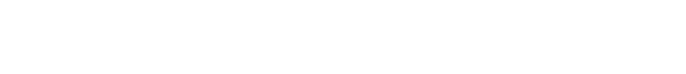consultnet logo